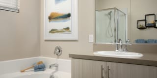 Harvest in Tracy Gallery 20