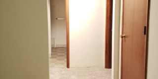 Oakterr Gallery 7
