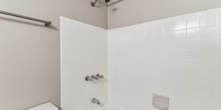 Park at Palmer Gallery 65