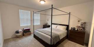 3864 GIORGIO Drive Gallery 11