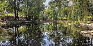 395 Lofton Road NW Gallery 15