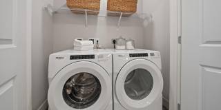Mira at Palmer Ranch - 55+ Senior Living Community Gallery 16