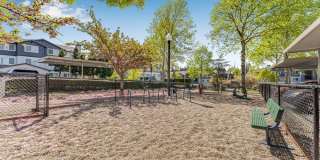 Sofi at Cedar Mill Gallery 33