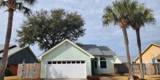 Bid-A-Weed Gallery 1