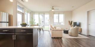 One41 Wellington Gallery 10