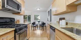 1020 San Gabriel Cir Unit 446 1020 San Gabriel Cir Unit 446 Gallery 1