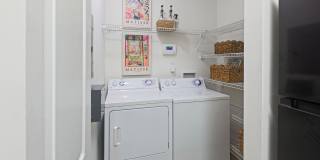 Hollis 7601 Gallery 20