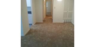 Sequoia Manor Gallery 8