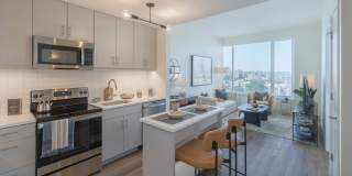 The Carson Gallery 1