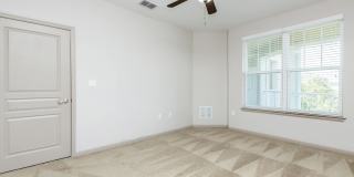 RIZE at Winter Springs Gallery 150