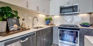 Windsor Queen Anne Gallery 15