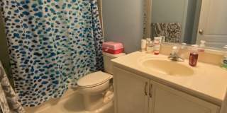 15839 FOURMILE CREEK Court 15839 FOURMILE CREEK Court Gallery 15