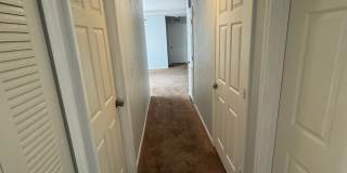 First 2 weeks free offer Gallery 13