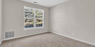 The Chapman Gallery 38