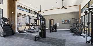 The Jaxon Gallery 29