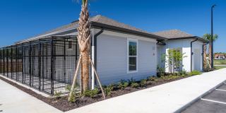 Livano Charlotte Harbor Gallery 33