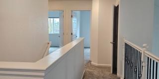 901 Sonata Gallery 22