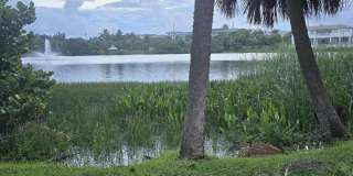 420 Celestial Way unit: 204 Gallery 31