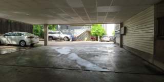 WINDTREE 306 Gallery 33