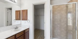 9566 Everton Gallery 19