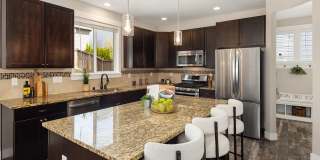 4Bd/2.25Ba Duvall Home Gallery 10