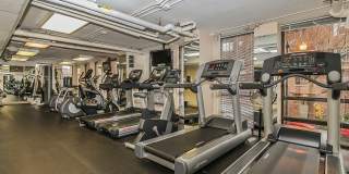 1660 N LaSalle Drive unit: 3205 Gallery 23