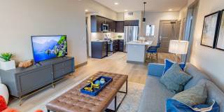 Bayswater Gallery 56