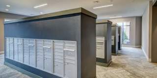 Allure Apollo Gallery 24