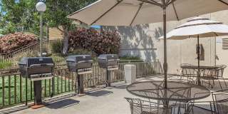 Heatherwood Apartmements Gallery 8