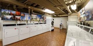 Belvedere Gallery 23