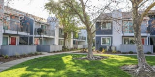 Lake Pointe Apartments Gallery 38