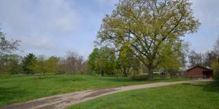 Newly Renovated 4 Bedroom Near Franklin Park- First month rent free Gallery 22