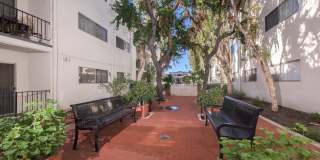 Tarzana Springs Gallery 3