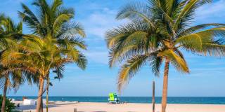 Motion at Dadeland Gallery 71