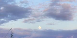 30138 Galbreth Court Gallery 20