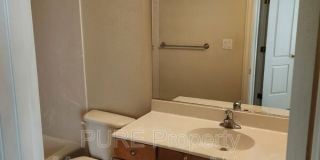 3004 Calla Lilly Gallery 11