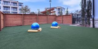 TruNorth at Bulverde Gallery 15