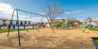 Zander Park Gallery 4