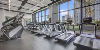 ParkLine Miami Gallery 51