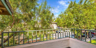 Park Bonita Apartments Gallery 21