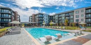 Starling at Bridgeland Gallery 1