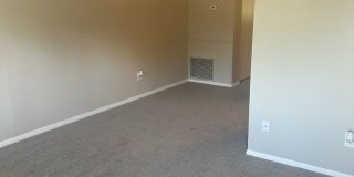 Black Pine Flats Gallery 29