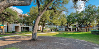 Roots at Boerne Gallery 5