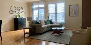 9823 DARCY FOREST Drive Gallery 5