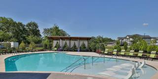 The Aster Gallery 25