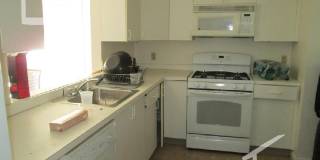 Allston 3 bed 2.5 bath - 9/1 Gallery 3