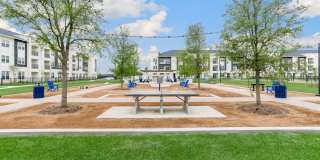 Domain Town Center Gallery 12