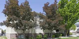 Pinebrook Gallery 42