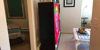 21 Orange Gallery 55