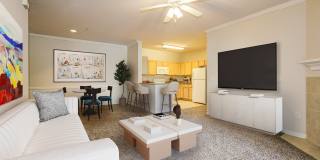 Village on the Lake Apartments Gallery 4